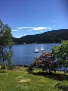 Afbeelding uit fotogalerij van Schluchsee, Villa Seepark in Schluchsee