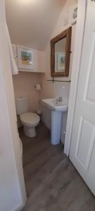 a small bathroom with a toilet and a sink at Farriers in Dartmouth