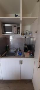 a small kitchen with a sink and a microwave at Farriers in Dartmouth