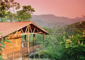 eine Hütte im Wald mit Bergblick in der Unterkunft Argovia Finca Resort in Tapachula