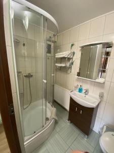 ein Bad mit einer Dusche, einem Waschbecken und einem WC in der Unterkunft Casa Soare check-in independent in Sighişoara