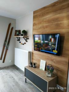 Televízia a/alebo spoločenská miestnosť v ubytovaní Apartament na Szlaku Szklarska Poręba