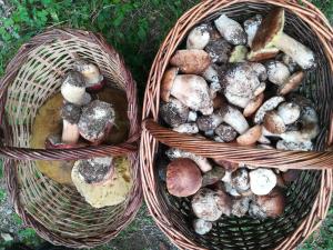 Fotografia z galérie ubytovania El floc de Neu - Camprodon v destinácii Camprodon