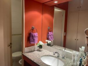 a bathroom with a sink and a mirror at Apart 9 de julio in Salta