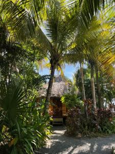 a beach with palm trees and palm trees at Mandala Eco Villas in La Libertad