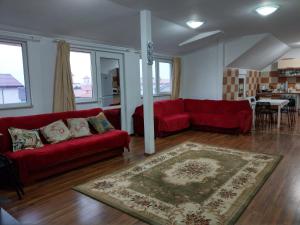 Afbeelding uit fotogalerij van Apartament 5 camere cu balcon Costinesti plaja 5 minute Nucilor 6 in Costinesti