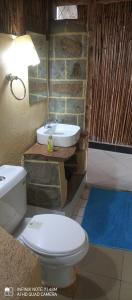 un bagno con un water e un lavandino di Sipi Coffee Lodge a Kapchorwa