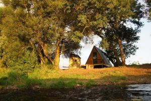 トーントンにあるRiverside Retreatの木立の丘の上に座る小さな家 +20枚の写真