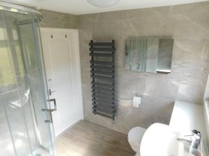 a bathroom with a glass shower and a toilet at 238 Norton Park, Dartmouth 2 bed holiday home with free parking in Dartmouth