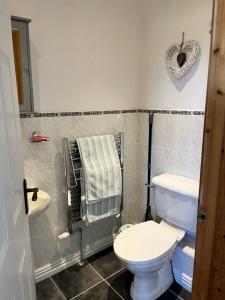 a bathroom with a toilet and a sink at Croft View in Helston
