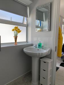 a bathroom with a sink and a mirror and a window at The Honeycomb in Ballyshannon