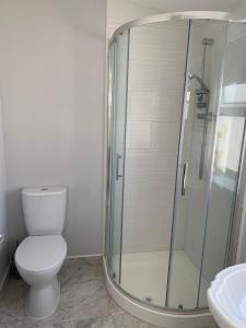 W łazience znajduje się prysznic, toaleta i umywalka. w obiekcie The Honeycomb w mieście Ballyshannon
