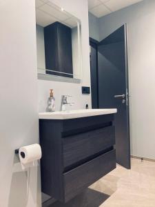 a bathroom with a sink and a mirror at TB Penthhouse in Akureyri