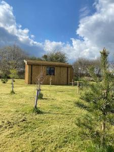 a small wooden building in a field with a tree at Lakeside Lodge in Taunton