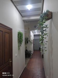 Fotografie z fotogalerie ubytování Hostal Puerta Carmona v destinaci Seville