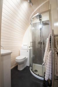 a bathroom with a shower and a toilet and a sink at Tan Y Bryn Glamping in Conwy