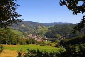 uma vista para um vale verde a partir de uma colina em Hôtel Restaurant Les Alisiers em Lapoutroie