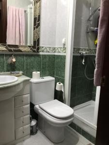 La salle de bains est pourvue de toilettes, d'un lavabo et d'une douche. dans l'établissement Amezola 2- Habitación con baño exterior de uso privado en casa compartida, à Bilbao