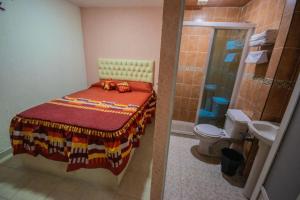 een badkamer met een bed, een douche en een toilet bij Tlatki in San Martín de las Pirámides