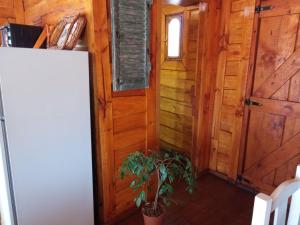 a hallway of a tiny house with a door and a plant at Cabaña Via Verde in Tandil