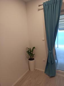 Fotografie z fotogalerie ubytování Peric Apartment West Dubrovnik v Dubrovníku