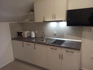 Kuchyň nebo kuchyňský kout v ubytování Peric Apartment West Dubrovnik