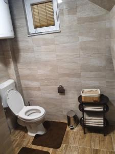 ein Bad mit einem weißen WC und einem Fenster in der Unterkunft House Apartment Azra in Sarajevo