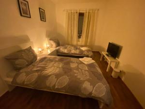 1 dormitorio con 1 cama y TV en Zum guten Schlaf, en Bremen