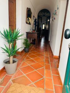 an orange tiled hallway with potted plants and a table at Às Portas da Vila in Monsaraz