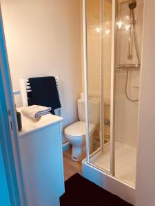 La salle de bains est pourvue d'une douche et de toilettes. dans l'établissement Le bastion, à Pontarlier