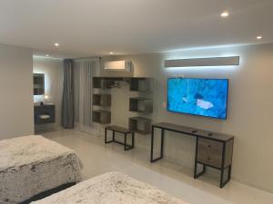 阿瓜斯卡連特斯的住宿－LA GRANDE MAISON，一间卧室设有两张床,墙上配有电视。