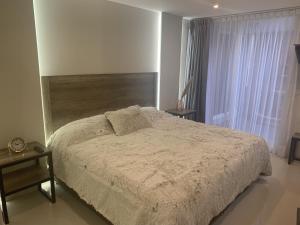 阿瓜斯卡連特斯的住宿－LA GRANDE MAISON，一间卧室设有一张床和一个大窗户