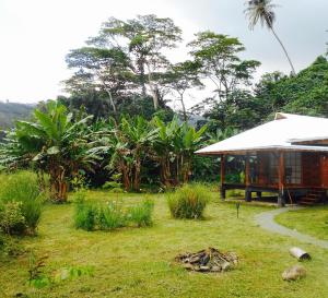 a garden with a building and trees and grass at Fare Hanuatai in Tevaitoa