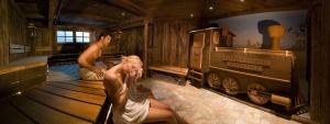 Foto dalla galleria di Mountainview Lodge - Chalet im Zillertal direkt am 5 Sterne Campingplatz Aufenfeld mit Hallenbad und Sauna a Aschau