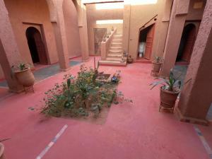 Gambar di galeri bagi Authentic riad & activities Erg di Mhamid
