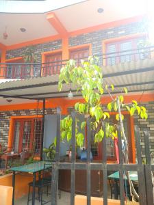 Balkon oz. terasa v nastanitvi Paramount guest house
