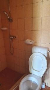 a bathroom with a toilet and a shower at Sunshine SH apartmanház in Zamárdi +20 photos