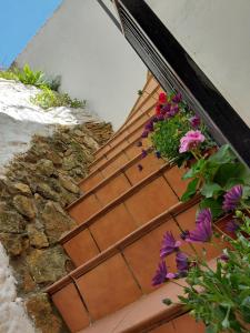 Fotografie z fotogalerie ubytování CASA LA ABUELA REMEDIOS v destinaci Olvera