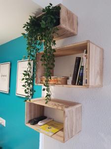 The library in Az apartmant