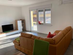 - un salon avec un canapé brun et une télévision dans l'établissement First Vrtovin Apartment, à Črniče