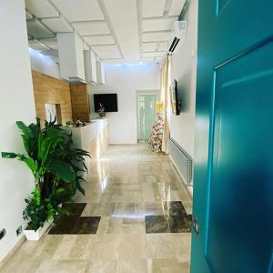 カプアにあるOlympus Capuaの青い扉と植物のある事務所廊下
