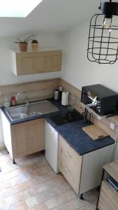 una cocina con fregadero y encimera en Mini Gite Les Marais Beaugency, en Beaugency 8 fotos más
