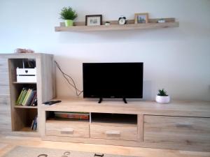 TV a/nebo společenská místnost v ubytování Apartmán Nerudovka