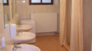 łazienka z 2 umywalkami, toaletą i lustrem w obiekcie Ubytovna Marie w Ołomuńcu