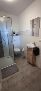 een badkamer met een douche, een wastafel en een toilet bij FeWo Lieblingshof in Lieblingshof