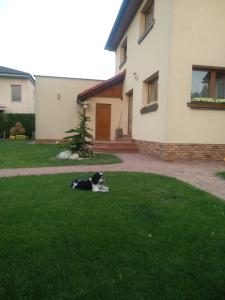 Vonkajšia záhrada v ubytovaní DoMo apartment