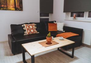 a living room with a black couch and a coffee table at Apartament Ustronny in Ustroń