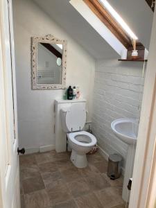 a bathroom with a white toilet and a sink at The Hayloft in Abergavenny