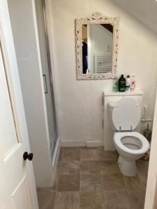 a bathroom with a white toilet and a mirror at The Hayloft in Abergavenny