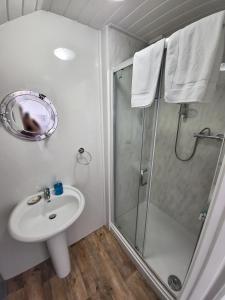 a bathroom with a shower and a sink at Ashby House in Tenby